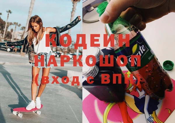 СК Пересвет