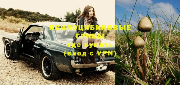 молекула духа Переславль-Залесский