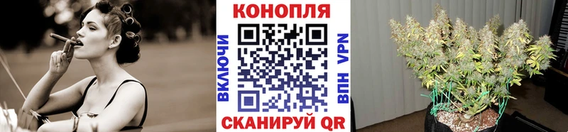 Купить где  Таганрог  Шишки марихуана SATIVA & INDICA 